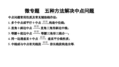 微专题  五种方法解决中点问题