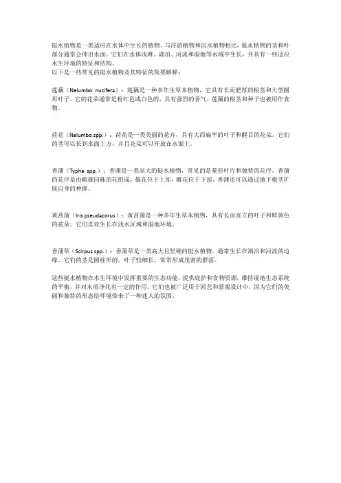 挺水植物名词解释