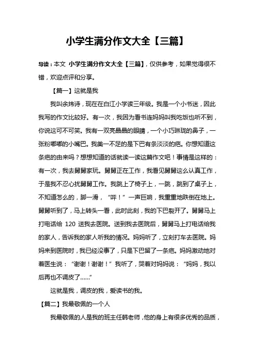 小学生满分作文大全【三篇】