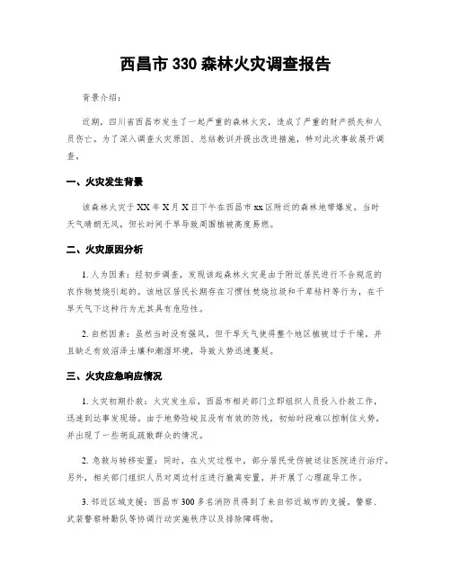 西昌市330森林火灾调查报告