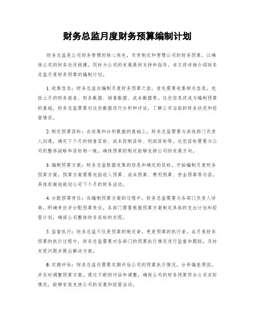 财务总监月度财务预算编制计划