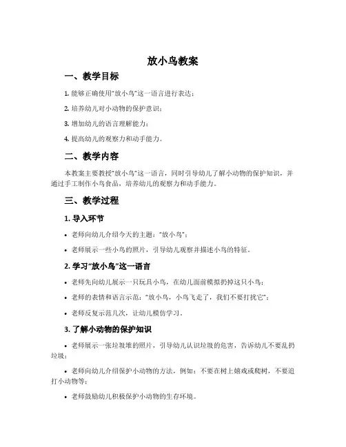 《放小鸟》教案
