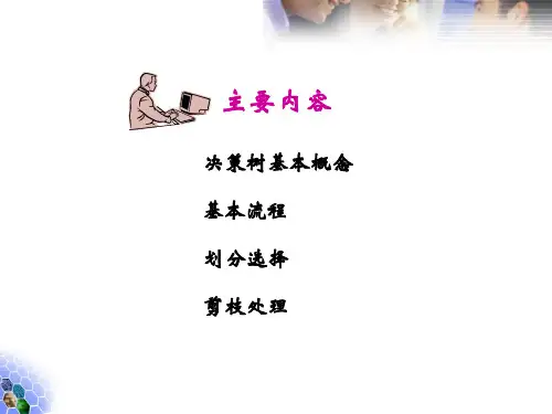 机器学习-决策树-ppt