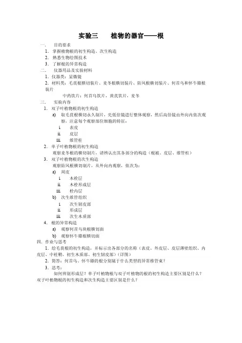 药用植物学实验-实验三植物的器官----根