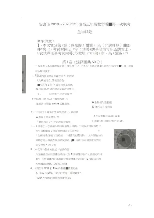 陕西省安康市2020届高三生物上学期第一次联考试题(扫描版)
