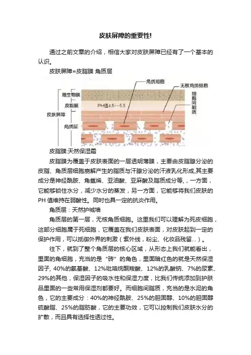 皮肤屏障的重要性!