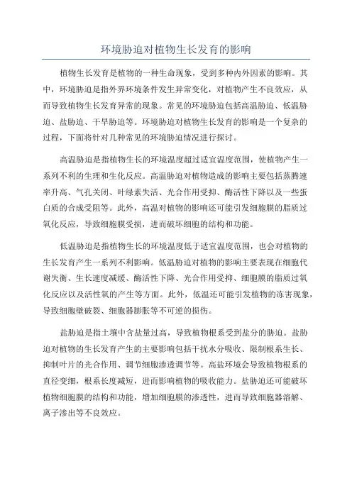 环境胁迫对植物生长发育的影响
