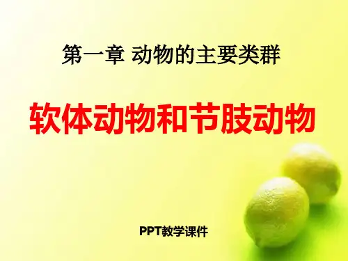 八年级上_生物课件_第三节___软体动物和节肢动物精品课件