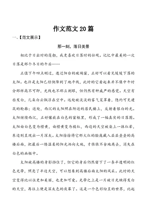 2019年中考语文作文范文20篇