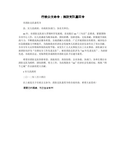 行政公文命令：消防支队嘉奖令