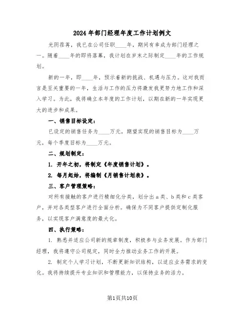 2024年部门经理年度工作计划例文（5篇）