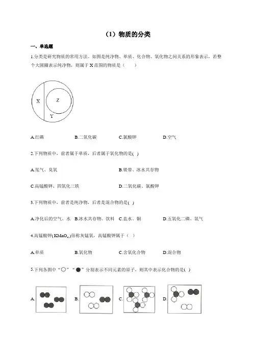 化学人教版九年级上册物质构成的奥秘 专项训练(1)物质的分类