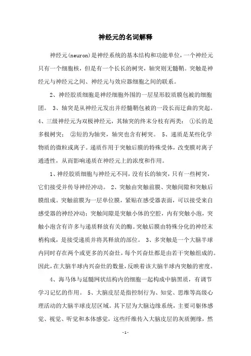 神经元的名词解释