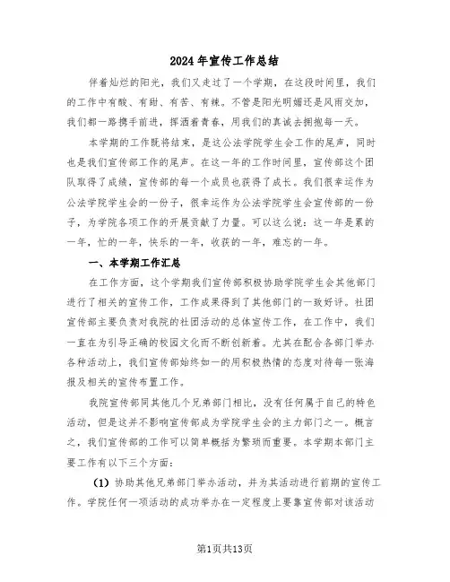 2024年宣传工作总结（5篇）