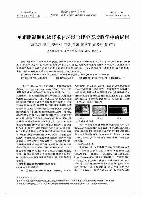 单细胞凝胶电泳技术在环境毒理学实验教学中的应用