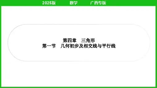 第一节 几何初步及相交线与平行线+++课件+2025年中考数学人教版一轮复习(广西)