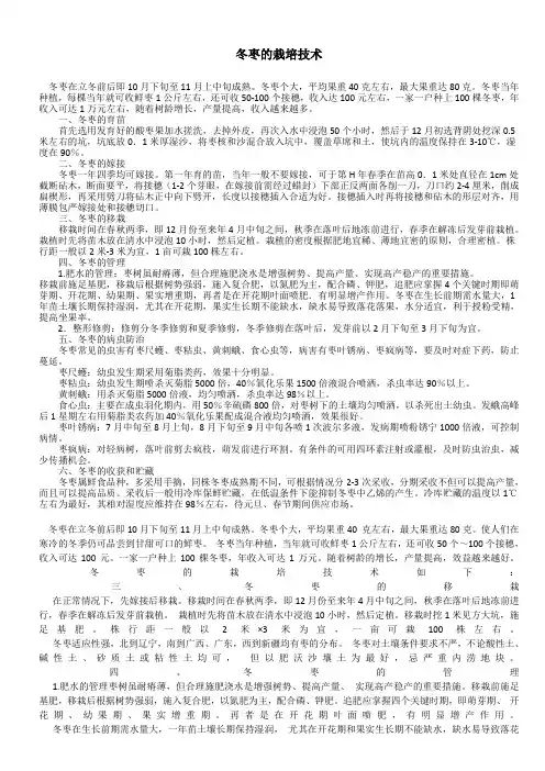 冬枣的栽培技术