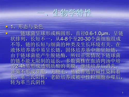 溶血性链球菌及检验医学PPT课件