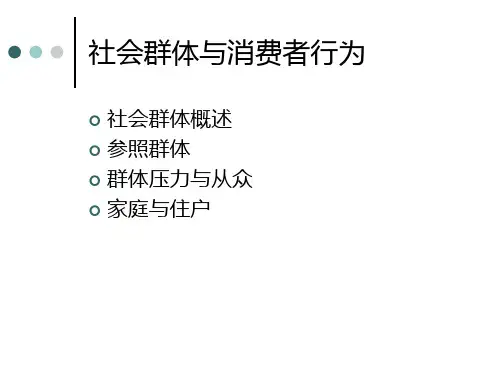 社会群体与消费者行为概述