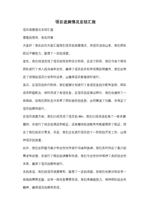 项目进展情况总结汇报