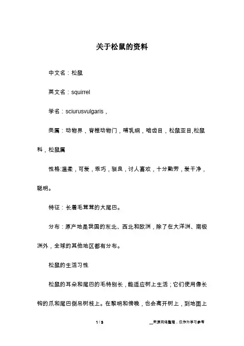 关于松鼠的资料