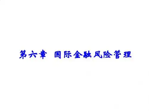 国际金融风险管理综合概述PPT课件( 51页)