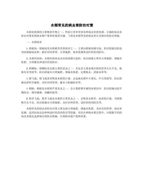 水稻常见的病虫害防治对策