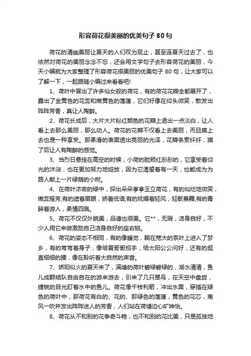 形容荷花很美丽的优美句子80句