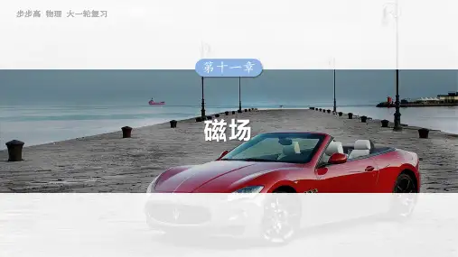 2025年高考物理一轮复习(新人教版) 第11章 第1课时 磁场的描述 安培力