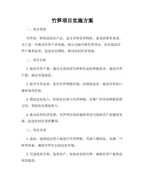 竹笋项目实施方案