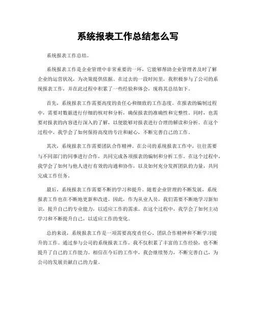 系统报表工作总结怎么写