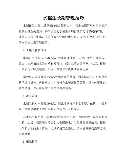 水稻生长期管理技巧