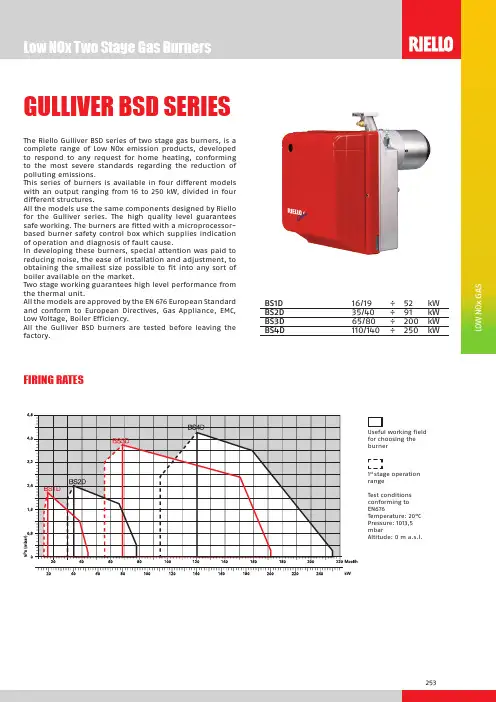燃气低氮燃烧器 里奥燃气低氮燃烧器Gulliver BSD 系列说明书