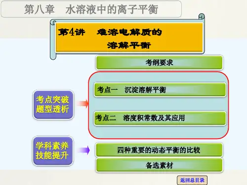 【高考领航】高考化学一轮复习专题讲座课件(人教版)：难溶电解质的溶解平衡