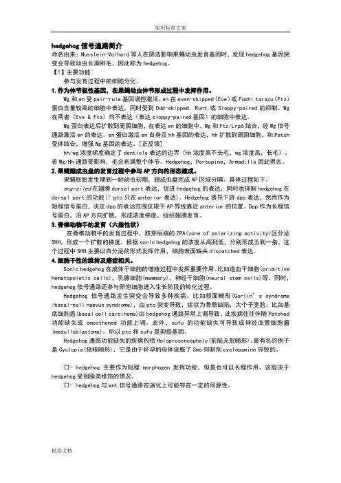 hedgehog信号通路