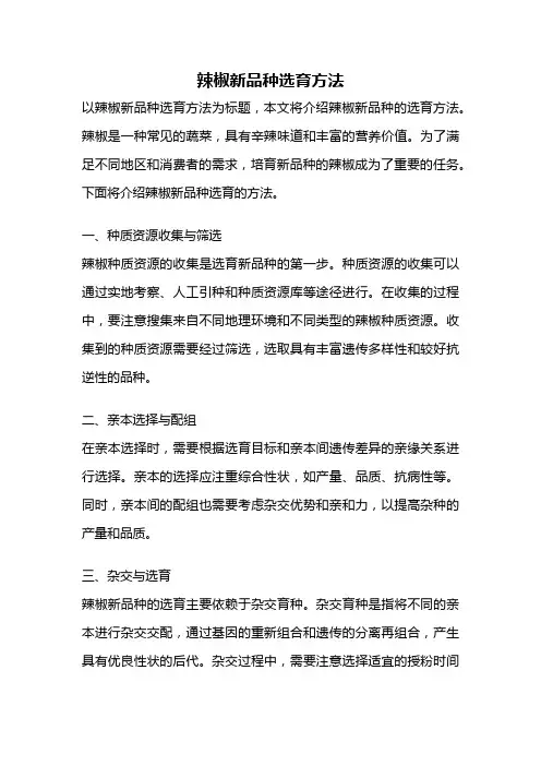 辣椒新品种选育方法