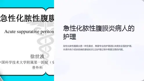 急性化脓性腹膜炎病人的护理ppt课件