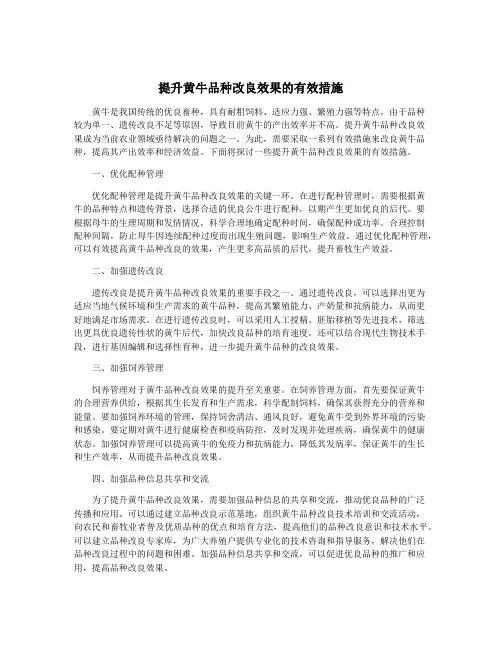 提升黄牛品种改良效果的有效措施