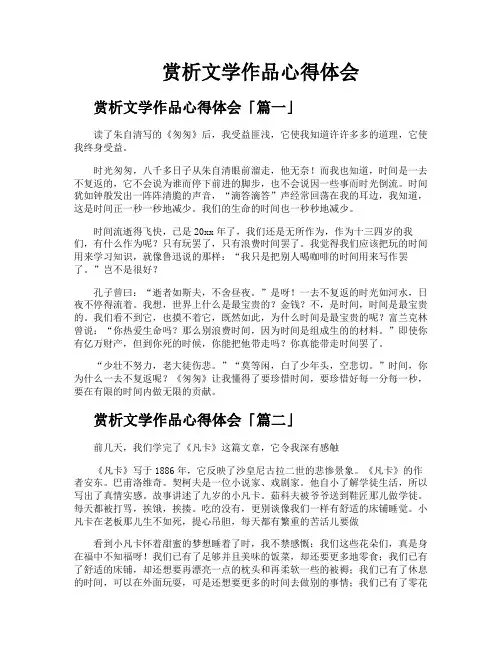 赏析文学作品心得体会