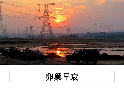 最新卵巢早衰ppt课件