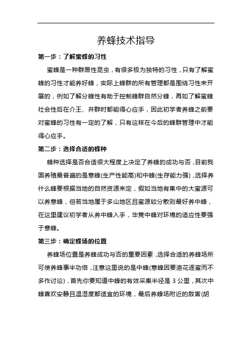 养蜂技术指导