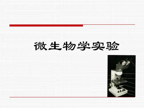 实验一_革兰染色法、细菌的特殊染色法