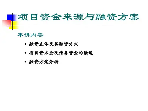 项目资金来源与融资方案