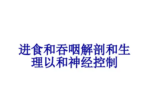 进食和吞咽解剖和生理以和神经控制