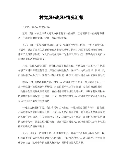 村党风+政风+情况汇报