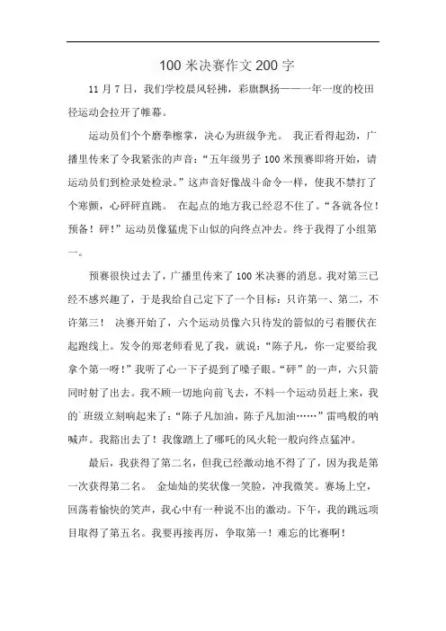 100米决赛作文200字