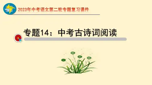 部编版语文 中考二轮专题 古诗词阅读 课件 (共46张PPT)