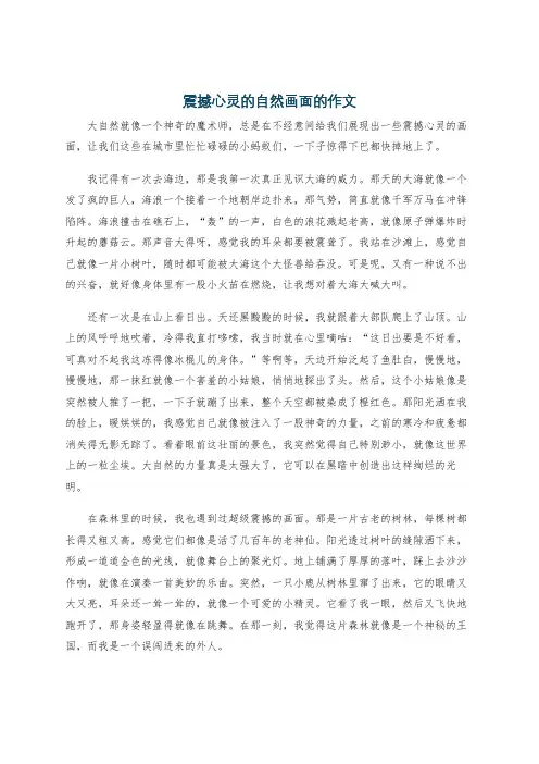 震撼心灵的自然画面的作文