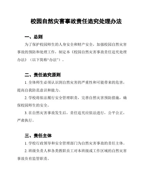 校园自然灾害事故责任追究处理办法