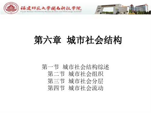 城市社会学第六章城市社会结构